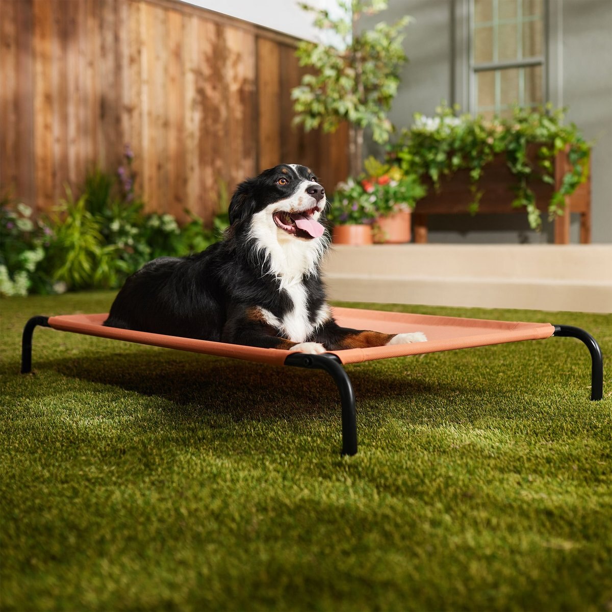 Frisco Steel-Framed Elevated Dog Bed, Terracotta, Large