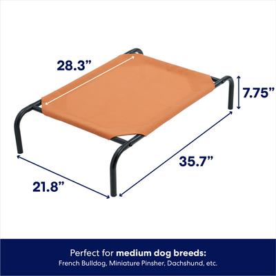 Show full view: Frisco Steel-Framed Elevated Dog Bed, Terracotta, Small slide 3 of 9