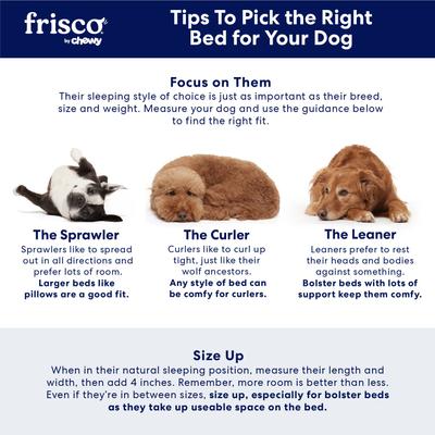 Show full view: Frisco Steel-Framed Elevated Dog Bed, Terracotta, Small slide 5 of 9