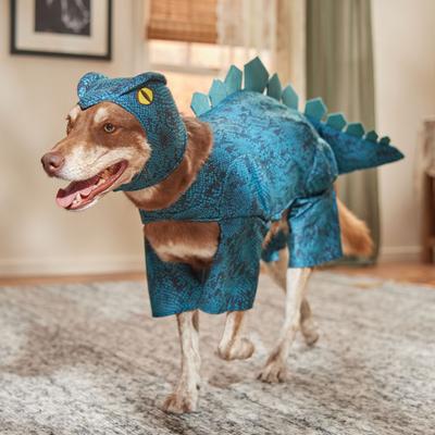 Show full view: Frisco Stegosaurus Dinosaur Dog & Cat Costume, X-Large slide 6 of 8