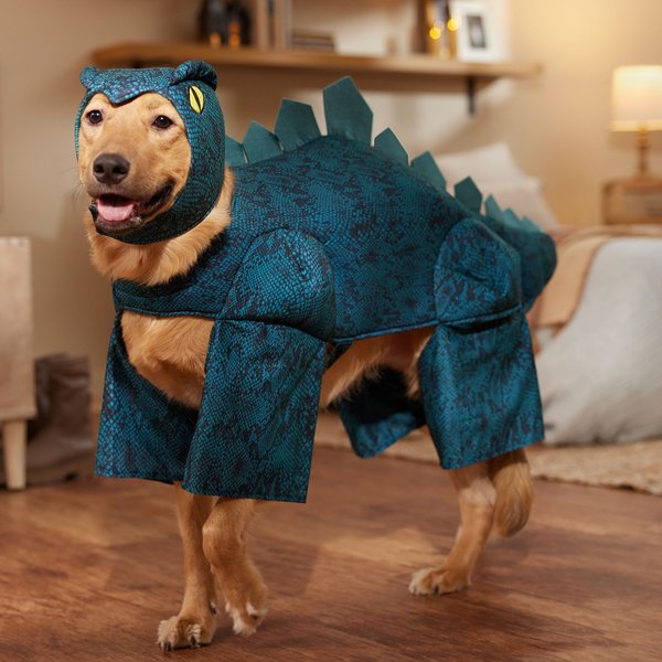 Frisco Stegosaurus Dinosaur Dog & Cat Costume
