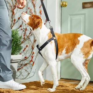 Frisco Step In Back Clip Dog Harness, Black, Large: 26 to 38-in chest