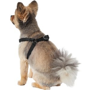 Frisco Step In Back Clip Dog Harness, Black, Small: 18.5 to 25-in chest