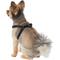 Show in main carousel: Frisco Step In Back Clip Dog Harness, Black, Small: 16 to 24-in chest slide 3 of 7