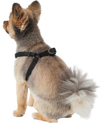 Show full view: Frisco Step In Back Clip Dog Harness, Black, Small: 16 to 24-in chest slide 3 of 7