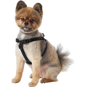 Frisco Step In Back Clip Dog Harness, Black, Small: 18.5 to 25-in chest