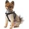 Show in main carousel: Frisco Step In Back Clip Dog Harness, Black, Small: 16 to 24-in chest slide 5 of 7