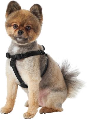Show full view: Frisco Step In Back Clip Dog Harness, Black, Small: 16 to 24-in chest slide 5 of 7