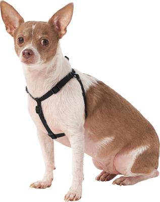 Show full view: Frisco Step In Back Clip Dog Harness, Black, X-Small: 12 to 18-in chest slide 3 of 7