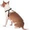 Show in main carousel: Frisco Step In Back Clip Dog Harness, Black, X-Small: 12 to 18-in chest slide 4 of 7