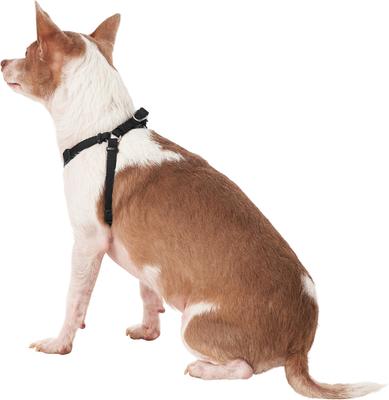 Show full view: Frisco Step In Back Clip Dog Harness, Black, X-Small: 12 to 18-in chest slide 4 of 7