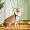 Show in main carousel: Frisco Step In Back Clip Dog Harness, Black, X-Small: 12 to 18-in chest slide 5 of 7