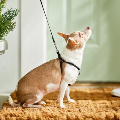 Show full view: Frisco Step In Back Clip Dog Harness, Black, X-Small: 12 to 18-in chest slide 5 of 7