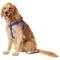 Show in main carousel: Frisco Step In Back Clip Dog Harness, Blue, Large: 26 to 38-in chest slide 3 of 7