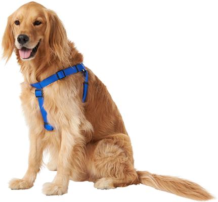 Show full view: Frisco Step In Back Clip Dog Harness, Blue, Large: 26 to 38-in chest slide 3 of 7