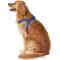 Show in main carousel: Frisco Step In Back Clip Dog Harness, Blue, Large: 26 to 38-in chest slide 4 of 7
