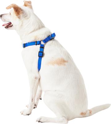 Show full view: Frisco Step In Back Clip Dog Harness, Blue, Medium: 20 to 30-in chest slide 4 of 7