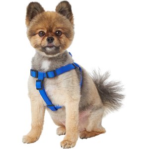 Frisco Step In Back Clip Dog Harness, Blue, Small: 18.5 to 25-in chest