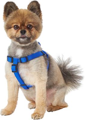 Show full view: Frisco Step In Back Clip Dog Harness, Blue, Small: 16 to 24-in chest slide 4 of 8