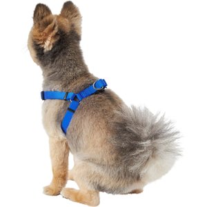 Frisco Step In Back Clip Dog Harness, Blue, Small: 18.5 to 25-in chest