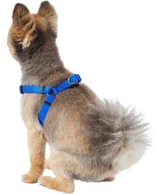 Show full view: Frisco Step In Back Clip Dog Harness, Blue, Small: 16 to 24-in chest slide 5 of 8