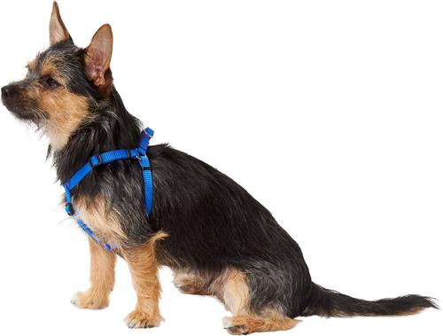 Show full view: Frisco Step In Back Clip Dog Harness, Blue, X-Small: 12 to 18-in chest slide 3 of 7
