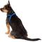 Show in main carousel: Frisco Step In Back Clip Dog Harness, Blue, X-Small: 12 to 18-in chest slide 4 of 7