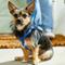 Show in main carousel: Frisco Step In Back Clip Dog Harness, Blue, X-Small: 12 to 18-in chest slide 5 of 7