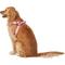 Show in main carousel: Frisco Step In Back Clip Dog Harness, Pink, Large: 26 to 38-in chest slide 4 of 7