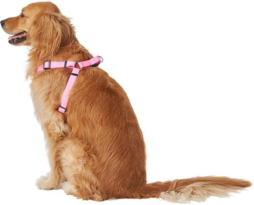 Show full view: Frisco Step In Back Clip Dog Harness, Pink, Large: 26 to 38-in chest slide 4 of 7