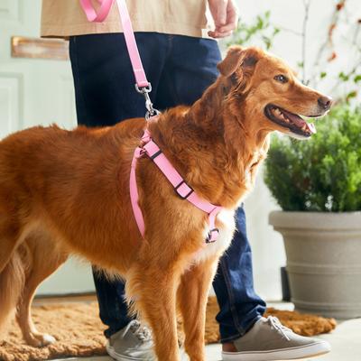 Show full view: Frisco Step In Back Clip Dog Harness, Pink, Large: 26 to 38-in chest slide 5 of 7