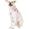 Show in main carousel: Frisco Step In Back Clip Dog Harness, Pink, Medium: 20 to 30-in chest slide 4 of 8