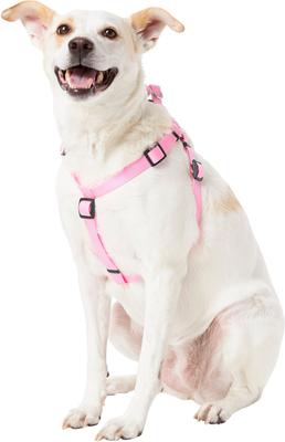 Show full view: Frisco Step In Back Clip Dog Harness, Pink, Medium: 20 to 30-in chest slide 4 of 8