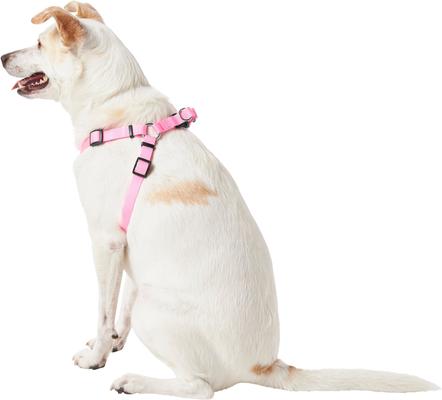 Show full view: Frisco Step In Back Clip Dog Harness, Pink, Medium: 20 to 30-in chest slide 5 of 8