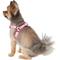 Show in main carousel: Frisco Step In Back Clip Dog Harness, Pink, Small: 16 to 24-in chest slide 4 of 7