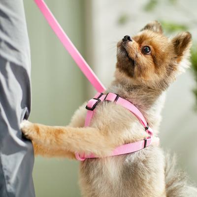 Show full view: Frisco Step In Back Clip Dog Harness, Pink, Small: 16 to 24-in chest slide 5 of 7