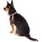 Show in main carousel: Frisco Step In Back Clip Dog Harness, Pink, X-Small: 12 to 18-in chest slide 4 of 7
