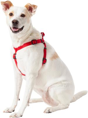 Show full view: Frisco Step In Back Clip Dog Harness, Red, Medium: 20 to 30-in chest slide 3 of 7