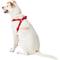 Show in main carousel: Frisco Step In Back Clip Dog Harness, Red, Medium: 20 to 30-in chest slide 4 of 7
