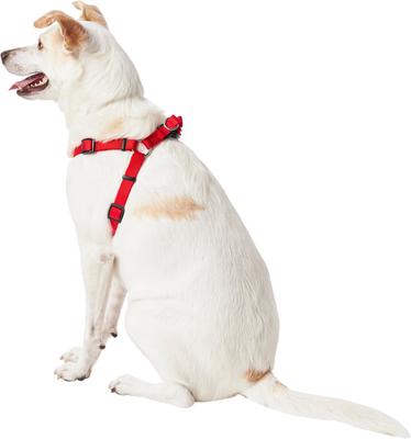 Show full view: Frisco Step In Back Clip Dog Harness, Red, Medium: 20 to 30-in chest slide 4 of 7