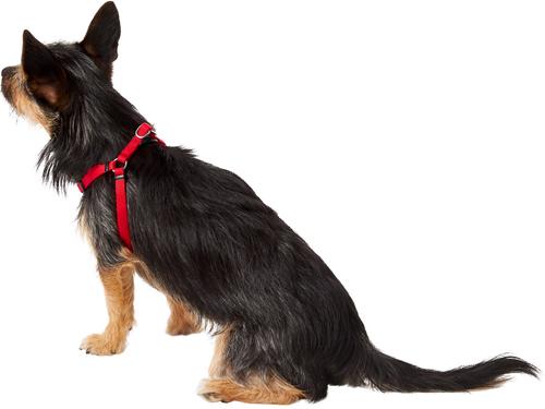 Show full view: Frisco Step In Back Clip Dog Harness, Red, X-Small: 12 to 18-in chest slide 4 of 7