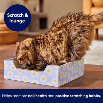 Show full view: Frisco Step-In Cat Scratcher Toy with Catnip, Blue Daisies slide 3 of 6
