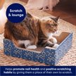 Frisco Step-In Cat Scratcher Toy with Catnip