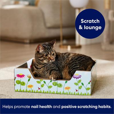 Show full view: Frisco Step-In Cat Scratcher Toy with Catnip, Spring Flowers slide 5 of 8