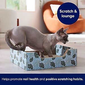Frisco Step-In Cat Scratcher Toy with Catnip, Tropical Paradise