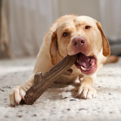 Show full view: Frisco Stick Nylon Chew Dog Toy for Heavy Chewers, Large slide 5 of 10