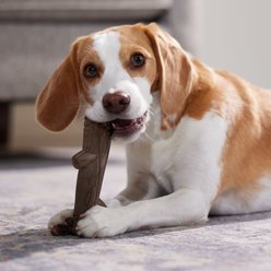 Frisco Stick Nylon Chew Dog Toy for Heavy Chewers, Medium slide 2 of 8