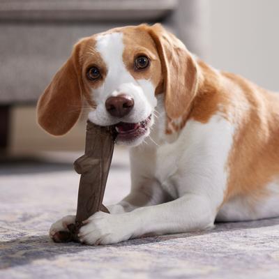 Show full view: Frisco Stick Nylon Chew Dog Toy for Heavy Chewers, Medium slide 5 of 10
