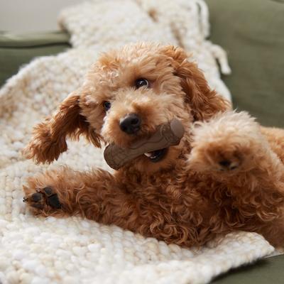 Show full view: Frisco Stick Nylon Chew Dog Toy for Heavy Chewers, Small slide 5 of 10