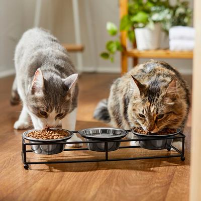Show full view: Frisco Straight Triple Feeder Stainless Steel Dog & Cat Bowl, Small: 1 cup slide 5 of 11